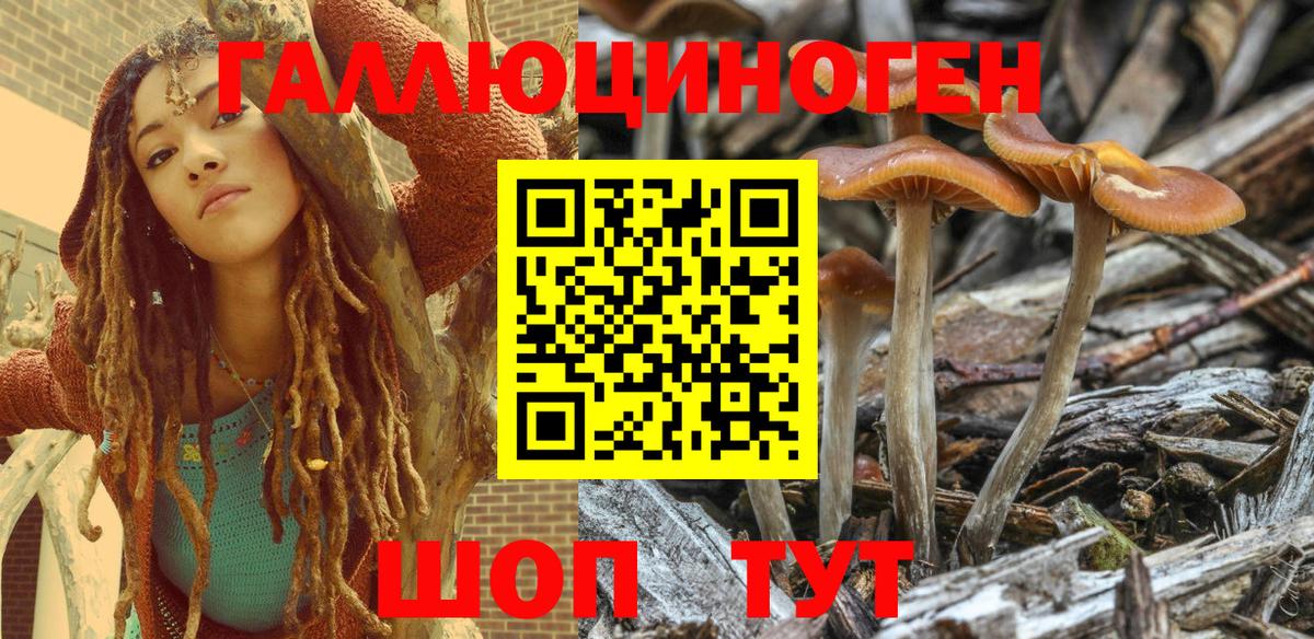 Галлюциногенные грибы Psilocybine cubensis Скопин