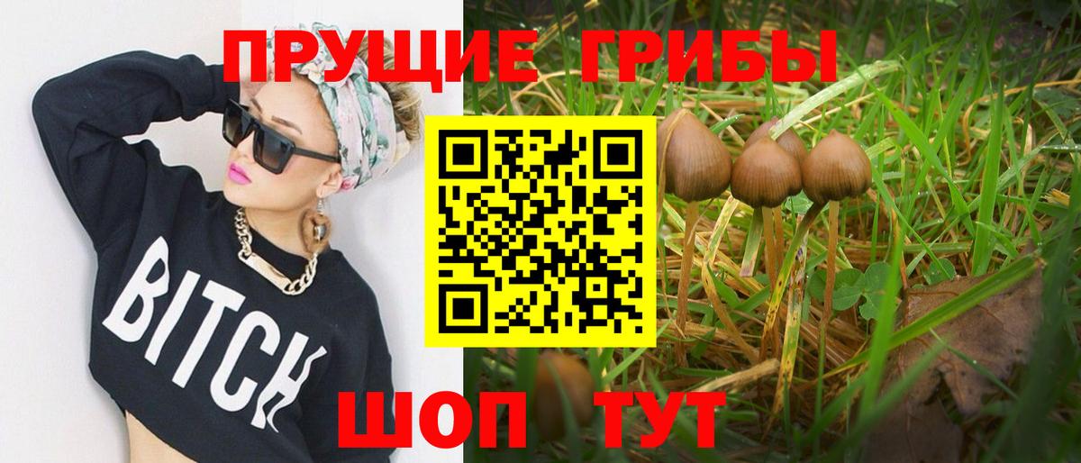 Галлюциногенные грибы мухоморы  Псилоцибиновые грибы Magic Shrooms  Скопин  Вход с VPN 